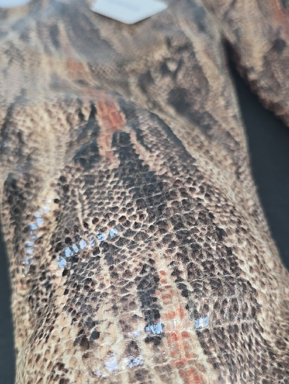 Vintage Luichiny Snakeskin Knee-High Boots - Picture 9 of 16